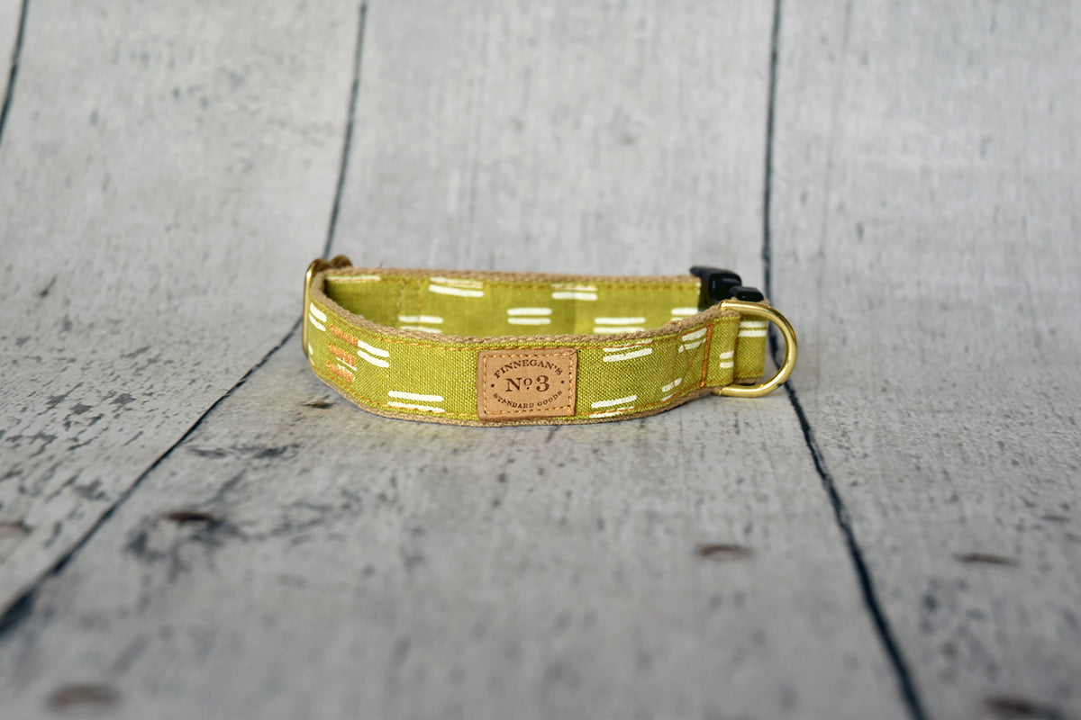 1" Citron Dash Collar