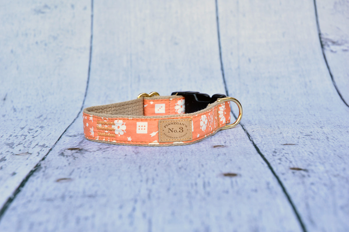 1" Tangerine Collar