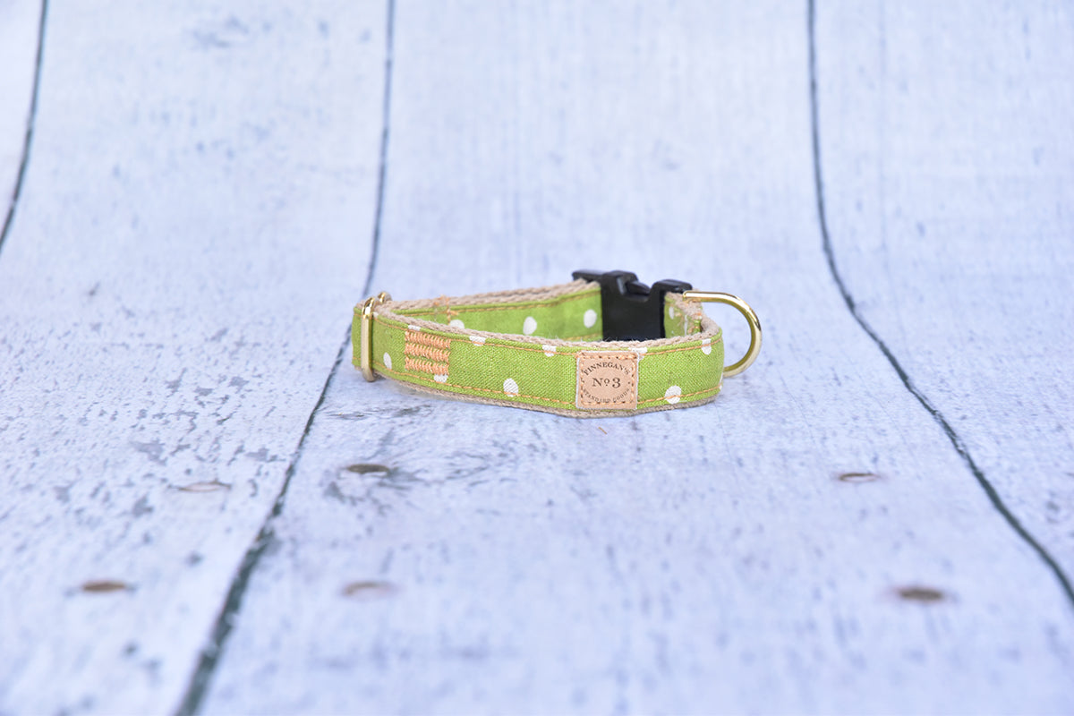3/4" Lime Dot Collar