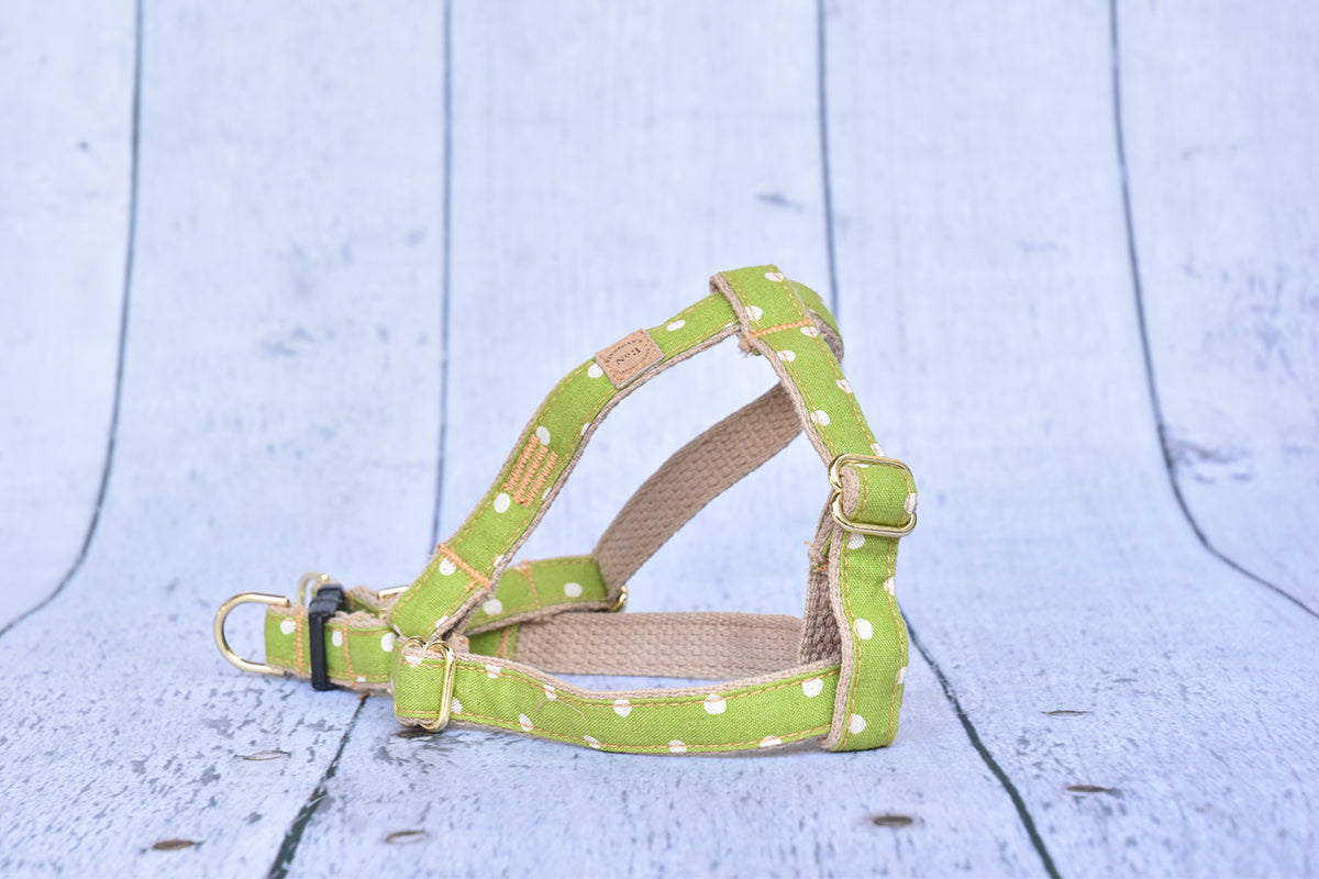 3/4″ Lime Dot Harness
