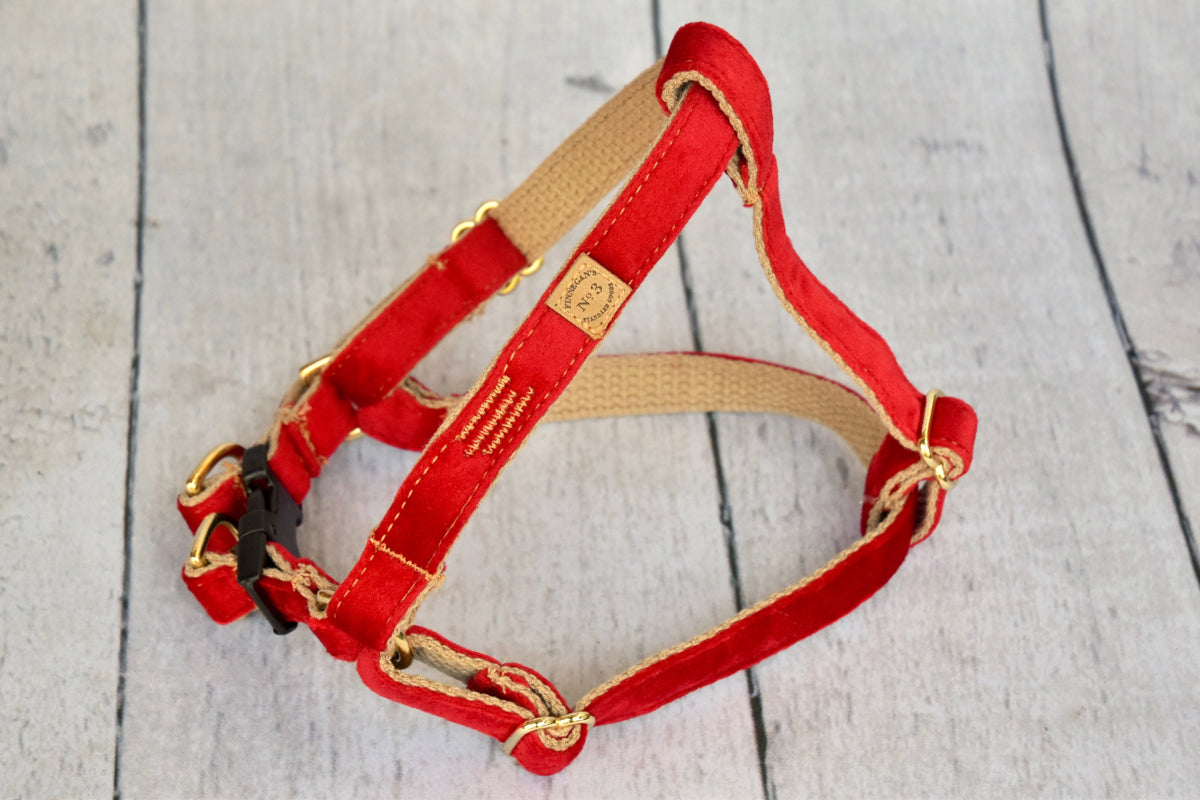 3/4″ Red Velvet Harness
