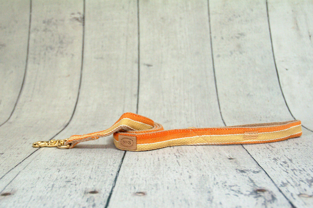 3/4" Sunset Serape Stripe Lead