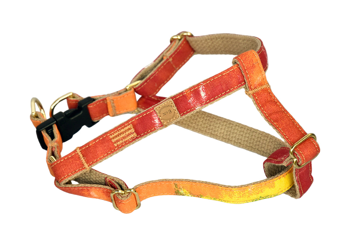 3/4″ Tie Dye Harness