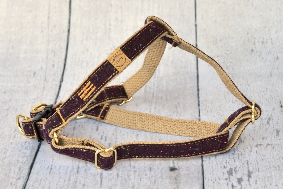 3/4″ Wine Donegal Harness