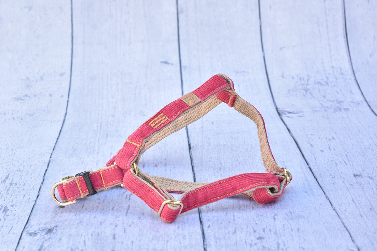 3/4″ Pink Corduroy Harness