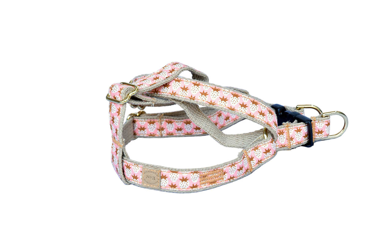 3/4″ Pink Strawberries Harness