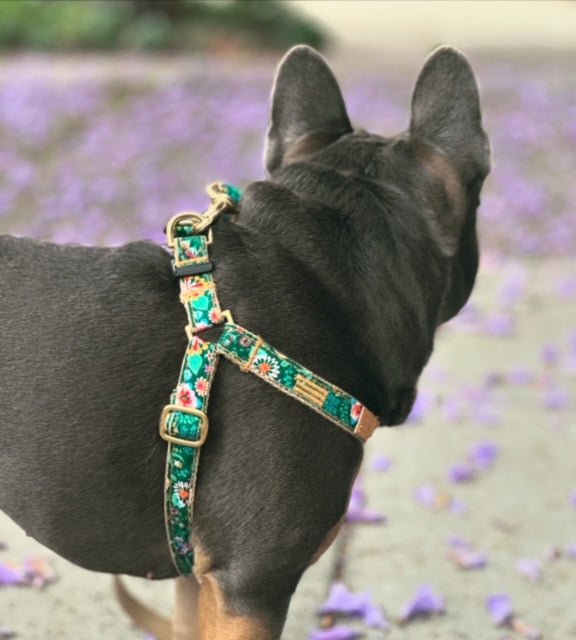 3/4" Secret Garden Lead