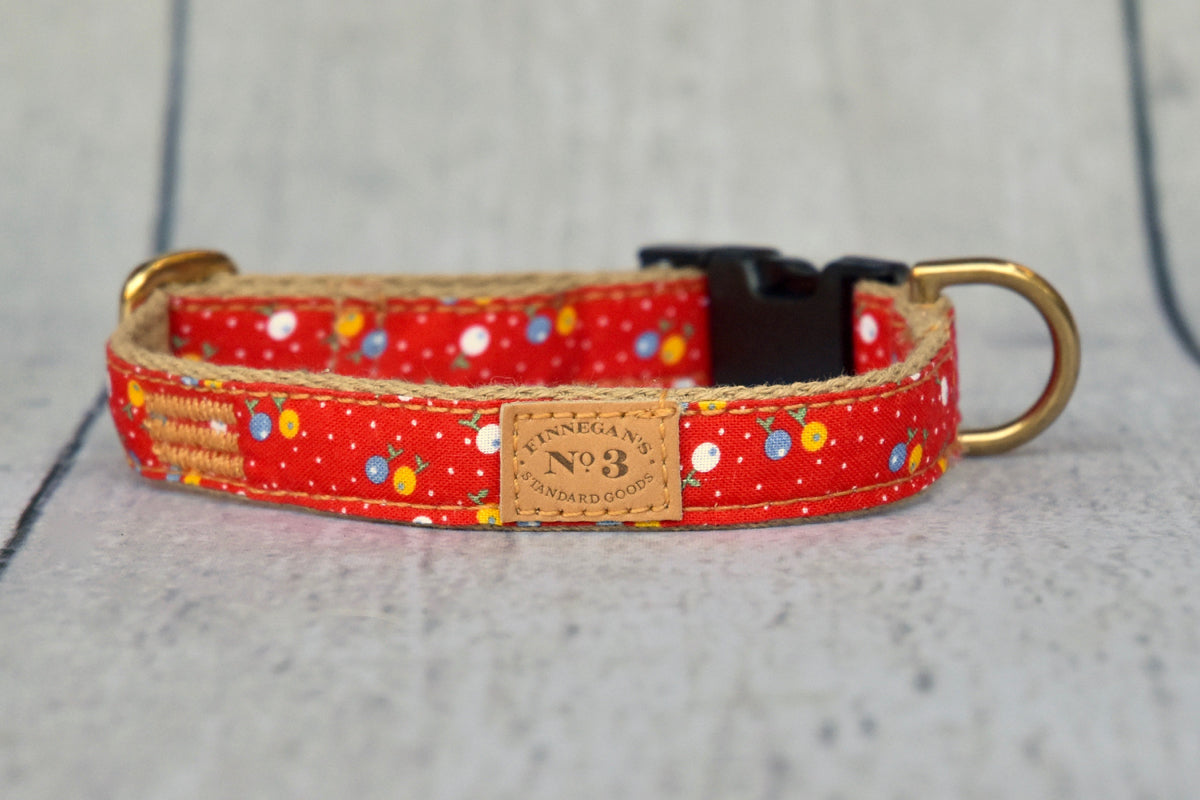 3/4 Pixie Flowers Collar