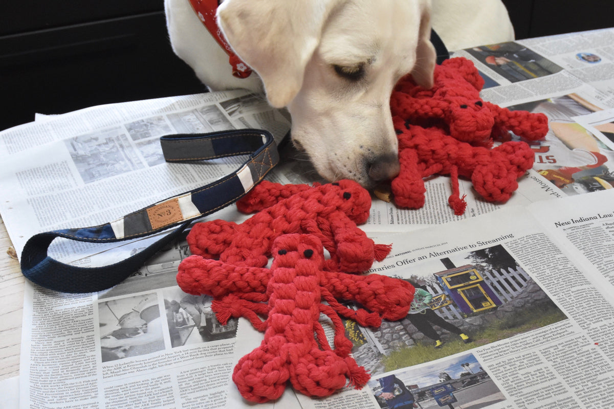 Lobster Rope Toy