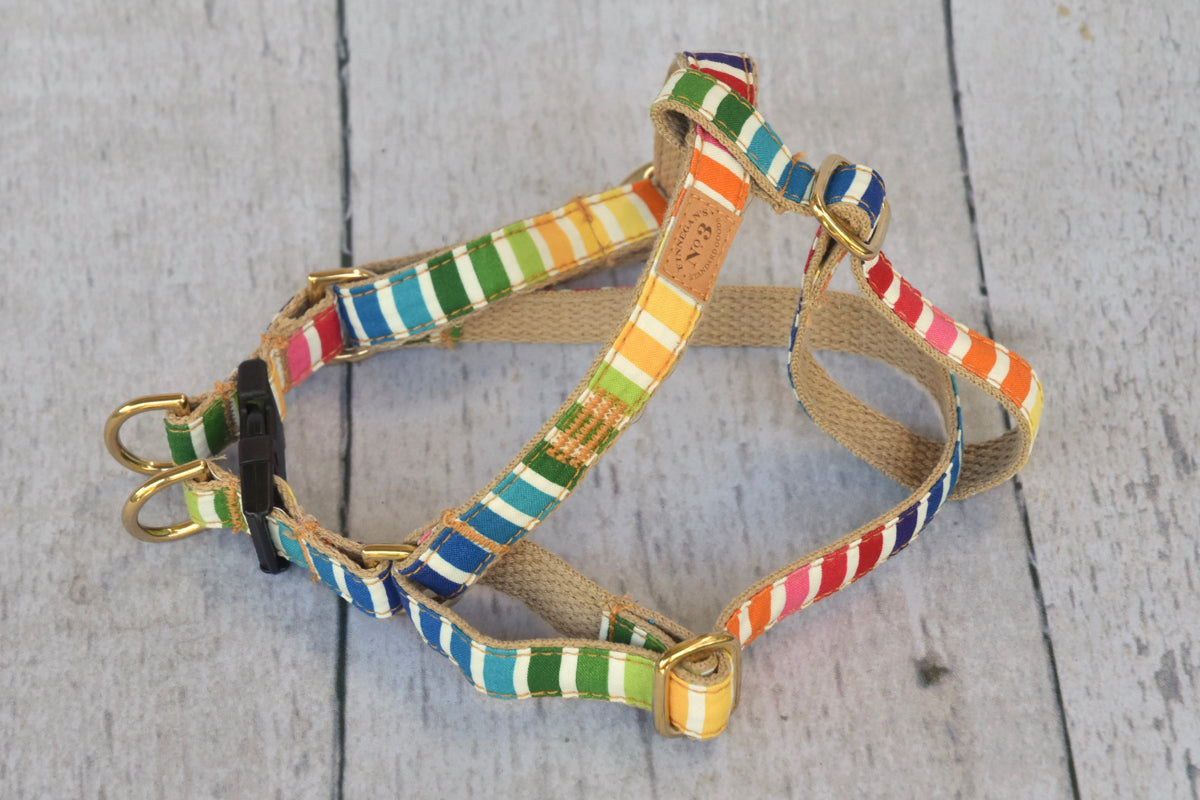 3/4"Fruit Stripes Harness