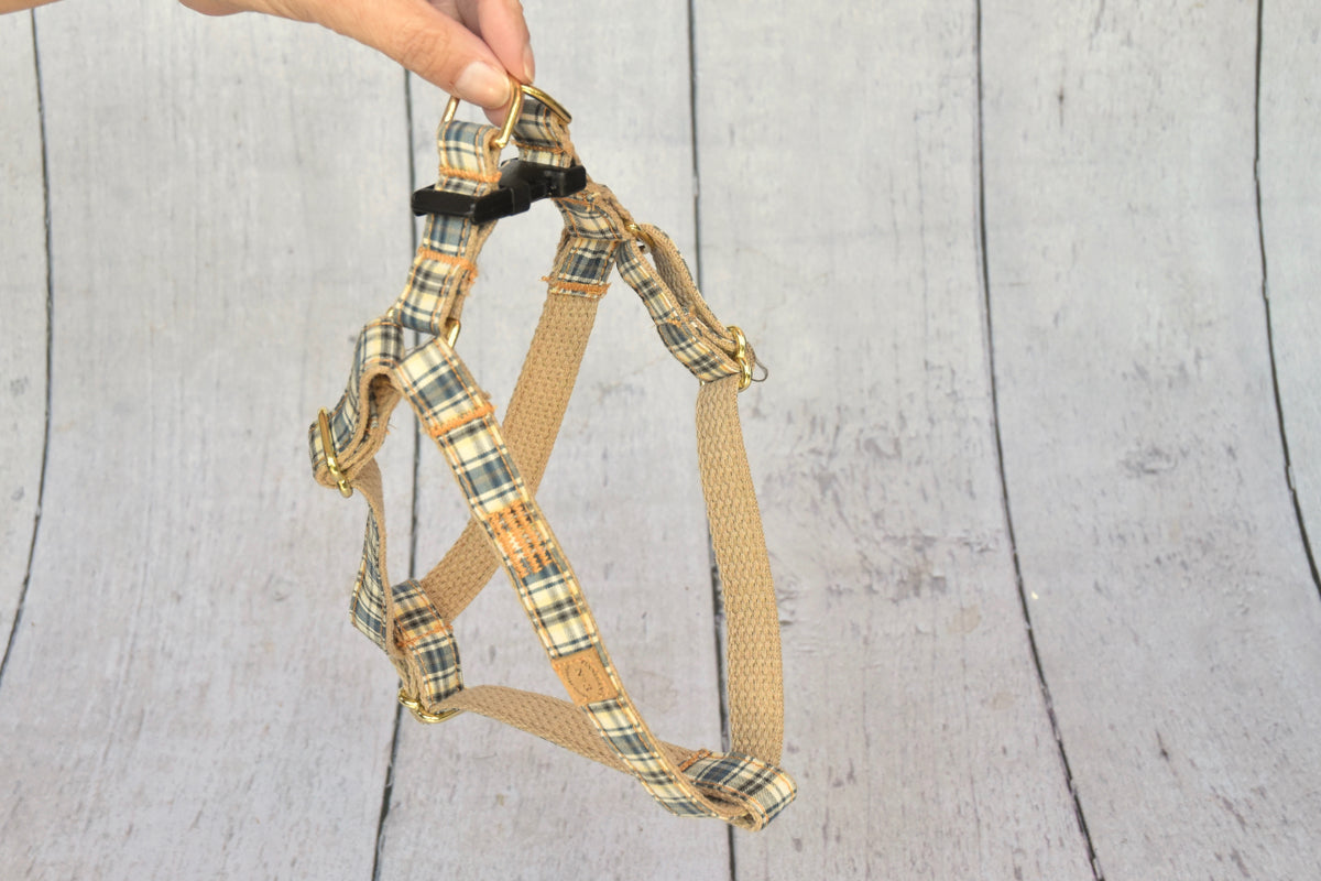 3/4″ Bellamy Blue Plaid Harness