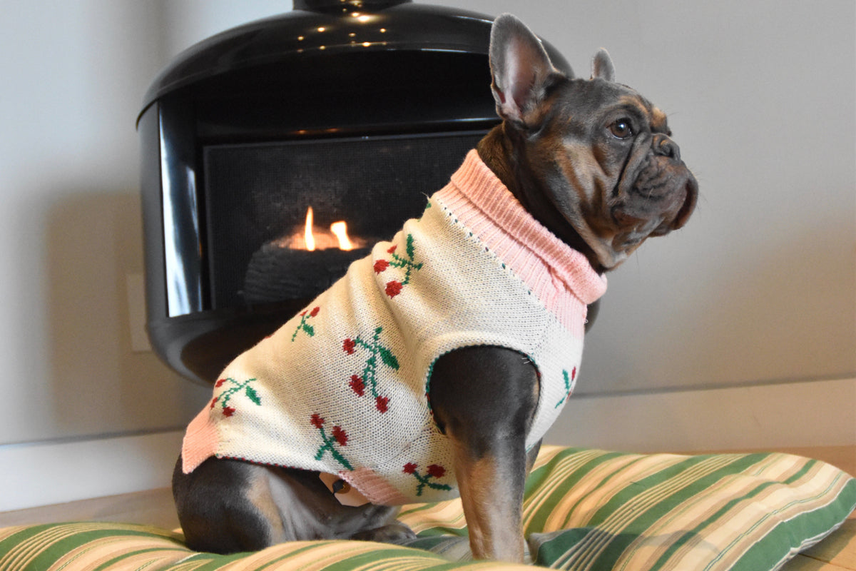 Bing Cherries Sweater