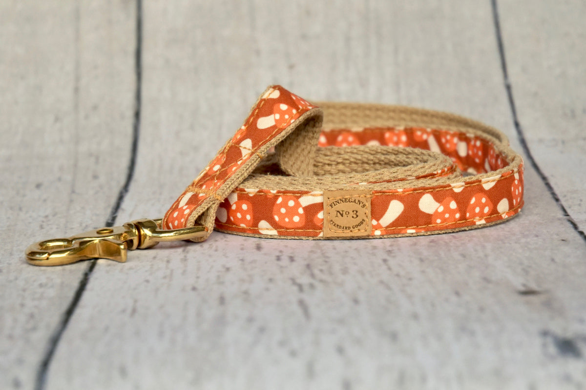 1" Creamsicle Mushroom Collar