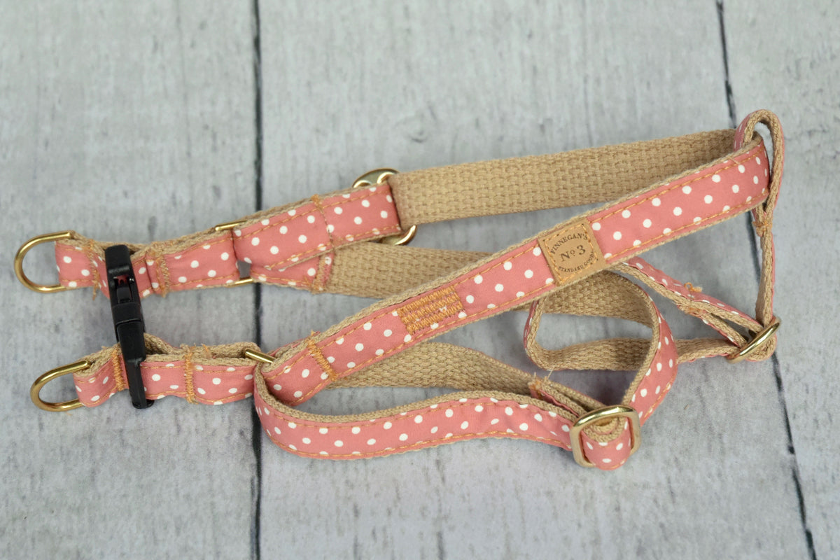 3/4' Blush Pin Dot Collar