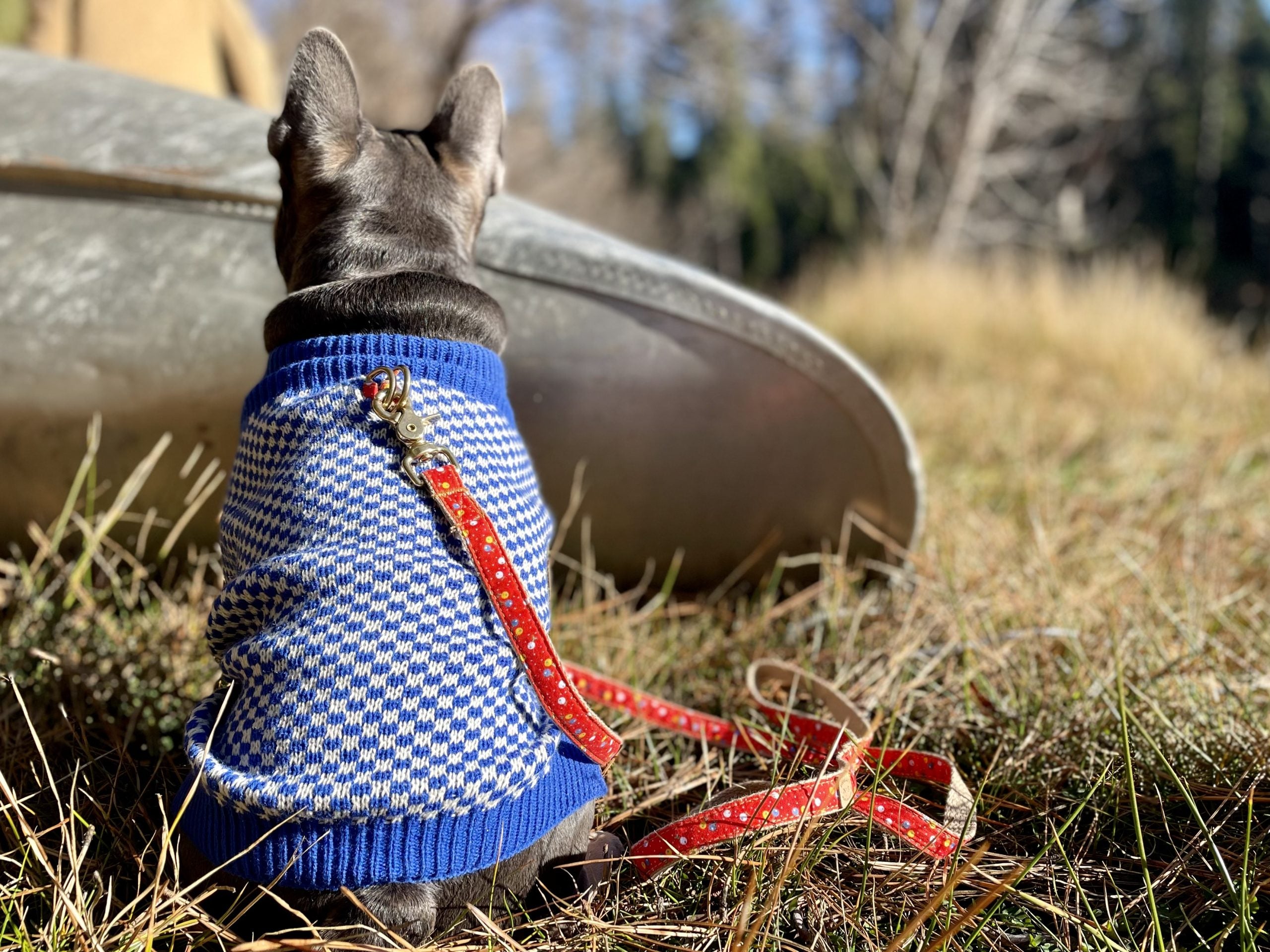 1" Pixie Flowers Collar