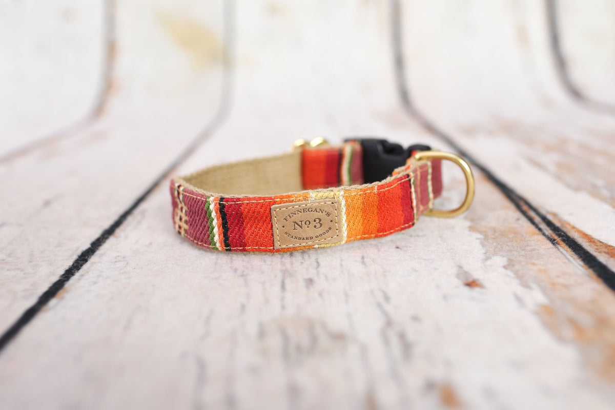 1" Orange Serape Stripe Collar