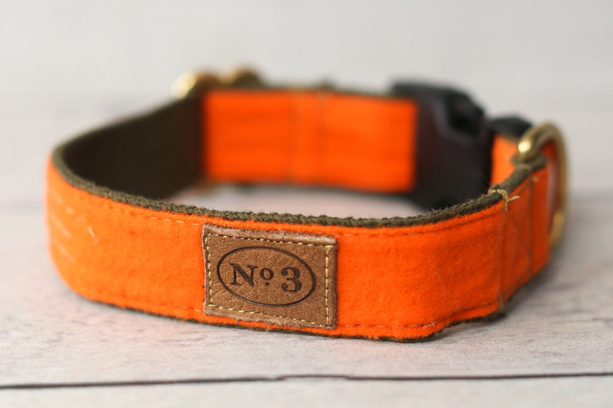 1" Pointer Orange Collar