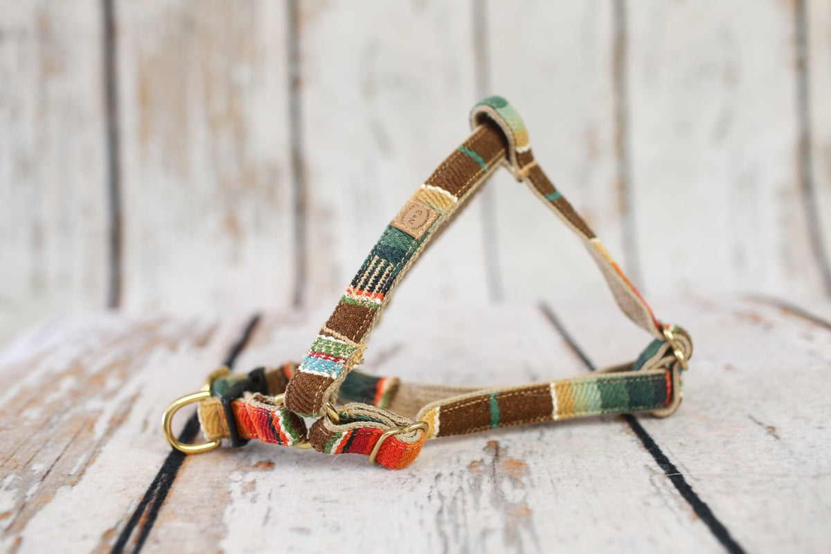 3/4" Sunset Serape Stripe Harness