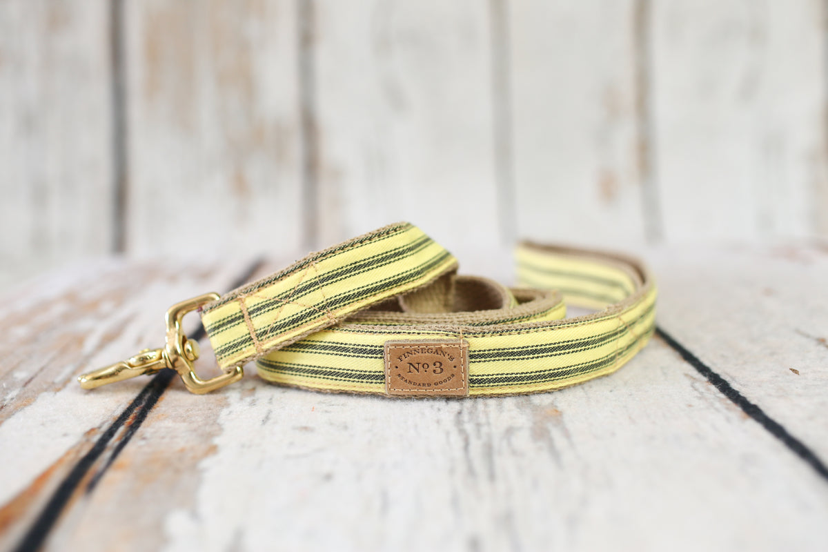 1” Sunshine Stripes Lead