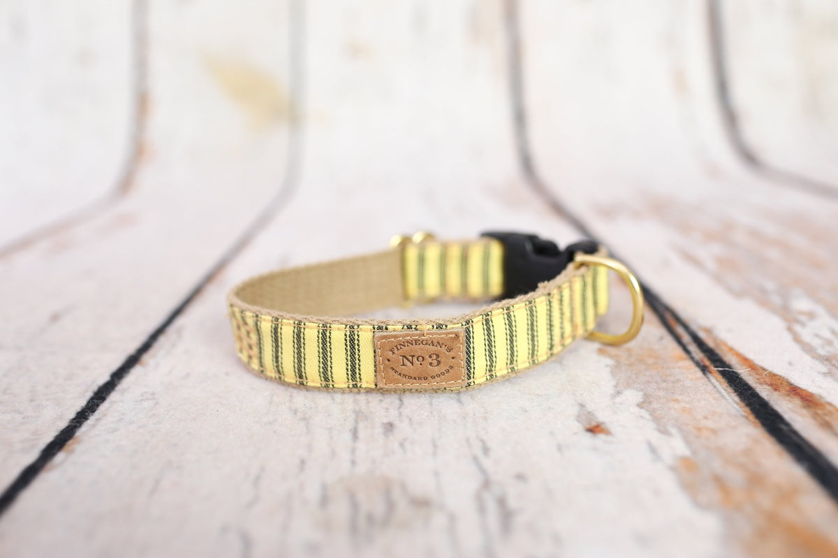 1" Sunshine Stripes Collar
