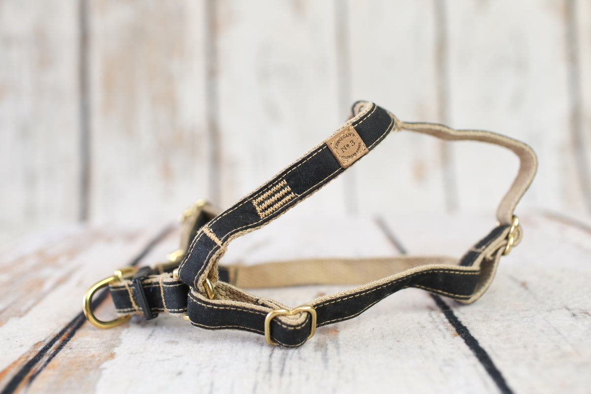 3/4" Tar Black Waxed Cotton Harness