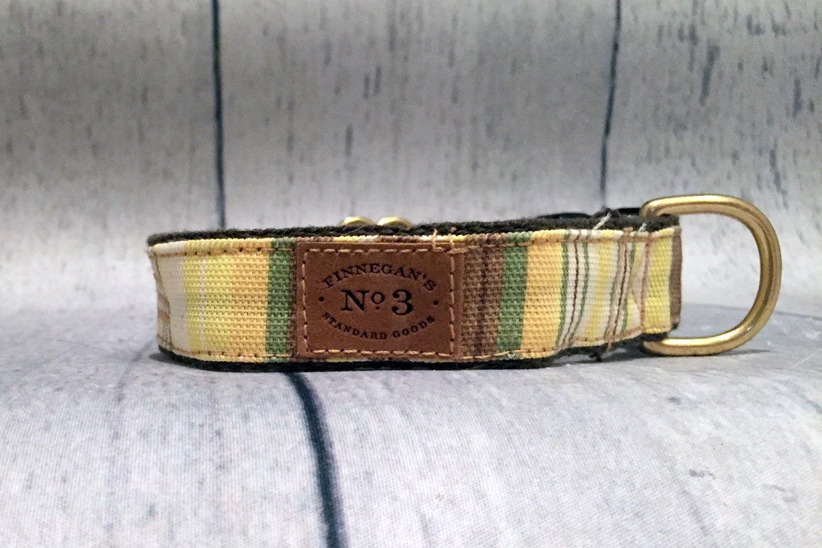 1" Yellow Stripe Collar