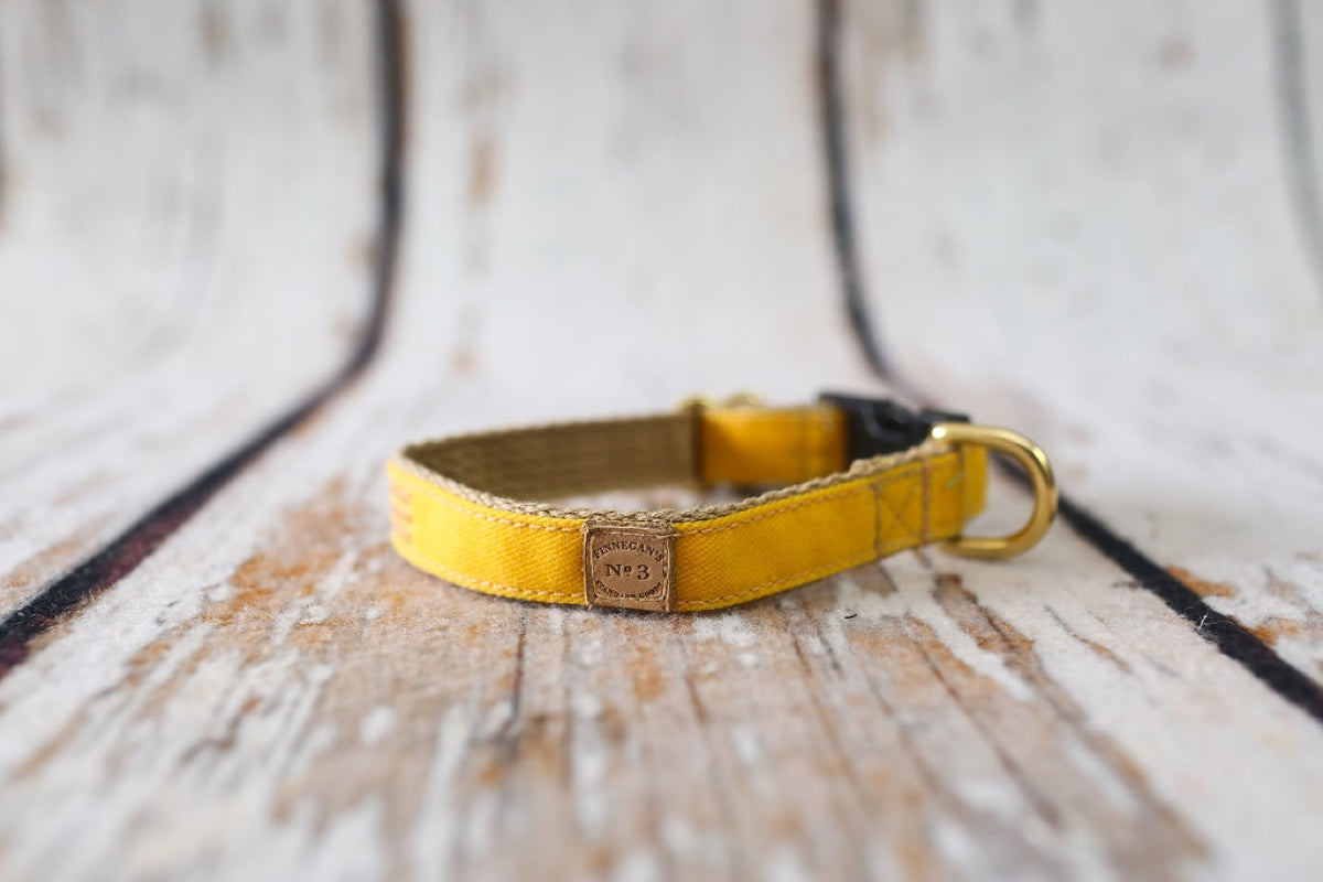 3/4" Yellow Waxed Cotton Collar