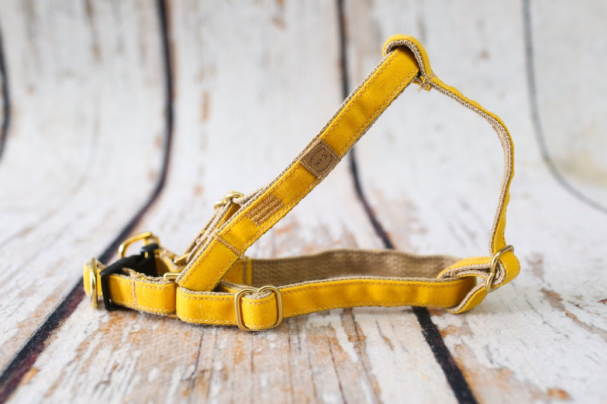 3/4″ Yellow Waxed Cotton Harness